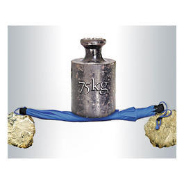 Birdiepal Outdoor Schirm blau