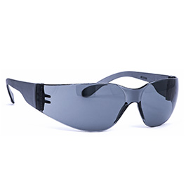 Infield Schutzbrille Nestor PC HC UV400 SUN smoke/grau