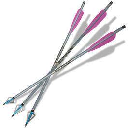Easton 16"&nbsp;Jagdpfeile 3 St�ck 