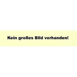 Kevlar Handschuhe 
