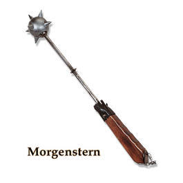 Morgenstern auf Stiel
