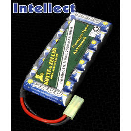 Intellect Akku 9.6V 2000mAh - Custom Type