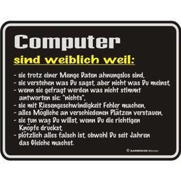 Metallschild Computer sind weiblich weil...