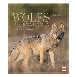 Wolfsbegegnungen - Von Wlfen in freier Wildbahn