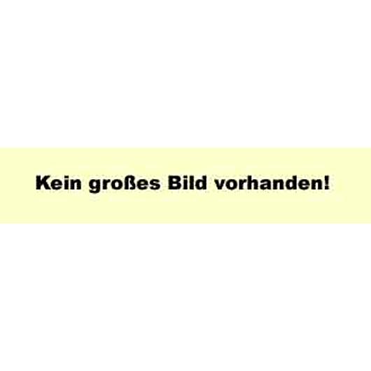 Kevlar Handschuhe 
