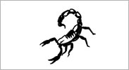 Scorpion Pfeffersprays