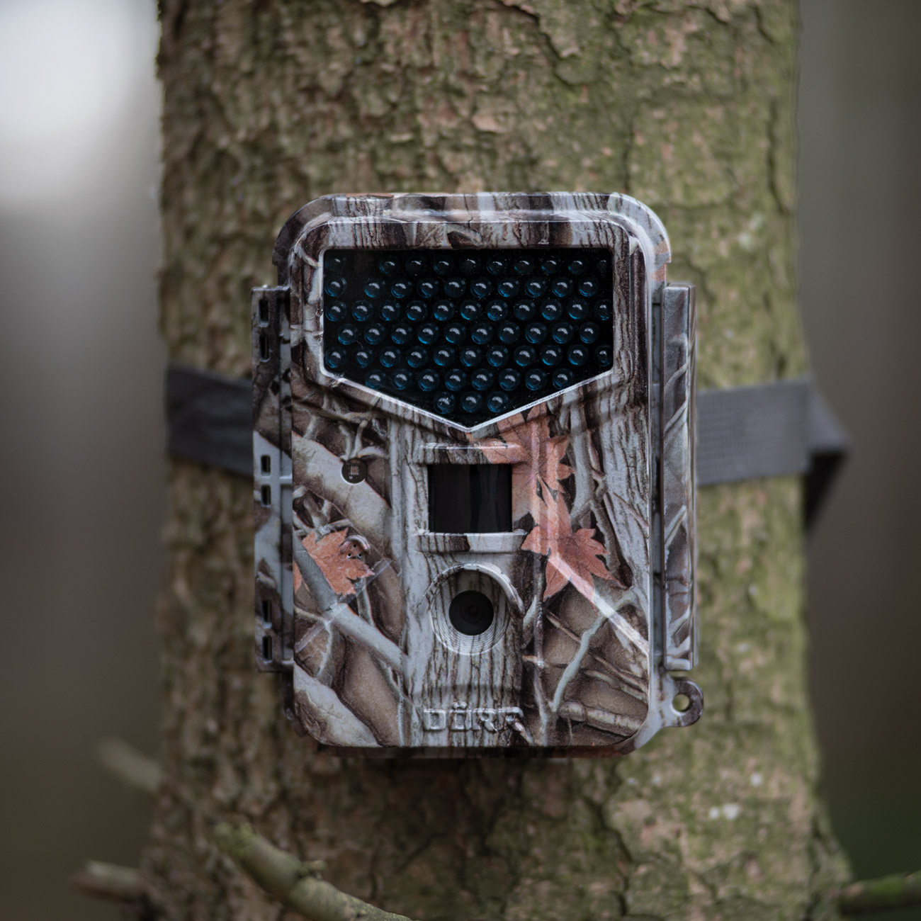 Dörr Wild- und Überwachungskamera SnapShot Extra Black 12.0i HD camouflage Bild 1