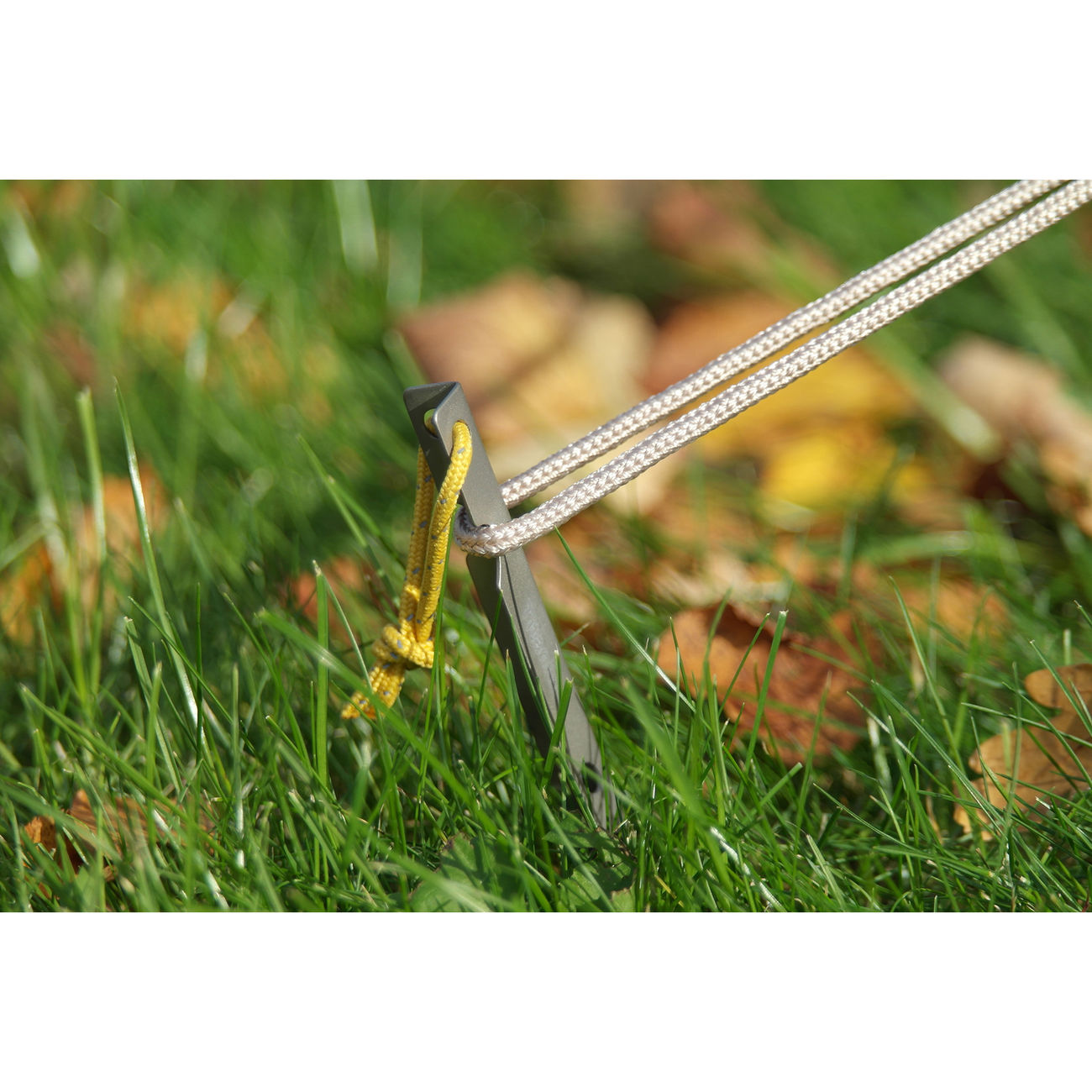 Nordisk V-Hering aus Titan 9 g 2 Stck Bild 1