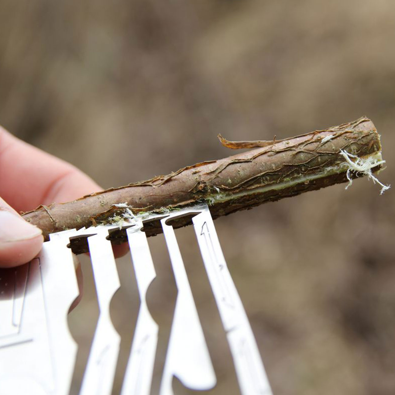 Bushcraft Essentials JV Survivalkarte Bild 3