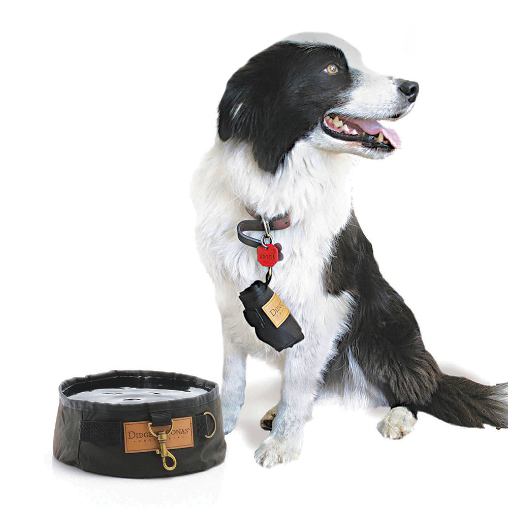 Scippis Wassersch�ssel Dri-tec 21cm auslaufsicher