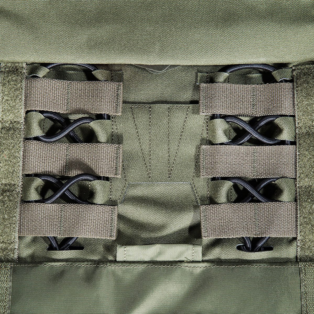 Tasmanian Tiger Plattentrger Plate Carrier MKIV oliv Bild 1