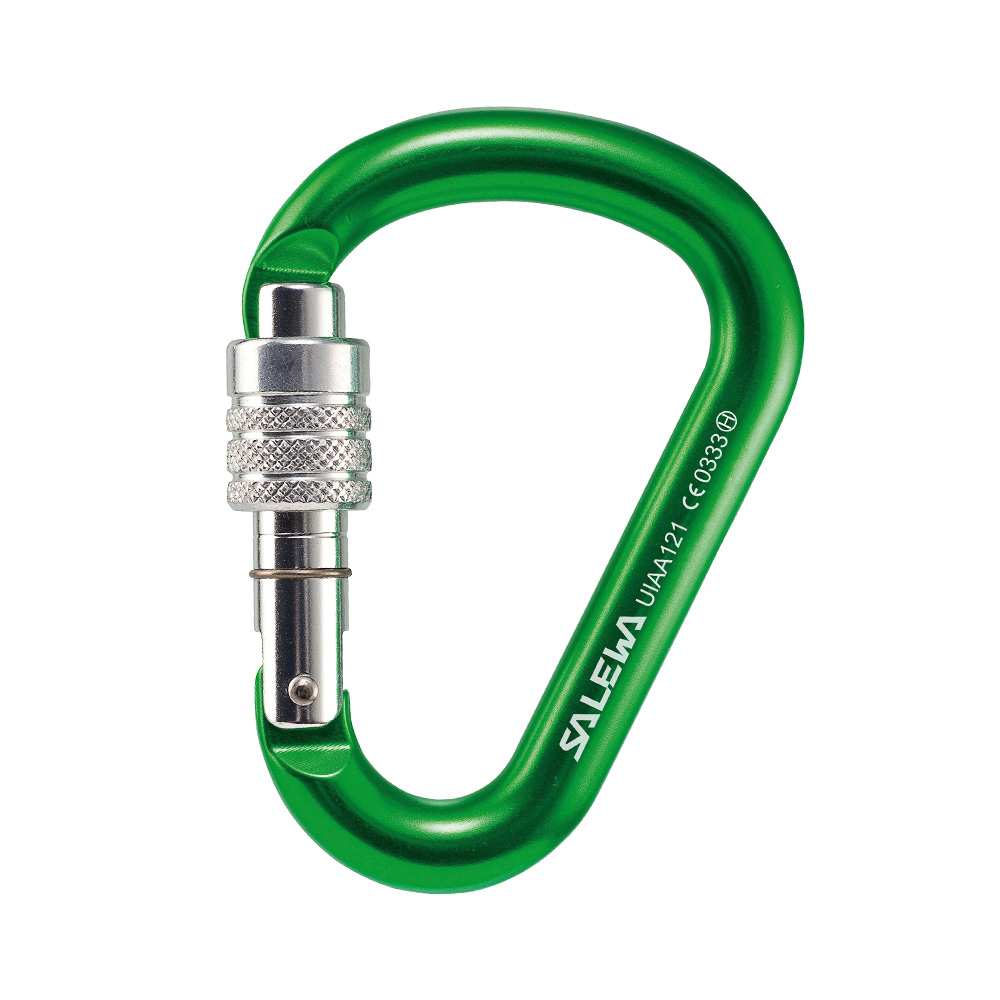 Salewa Karabiner HMS G2 small Screw grn