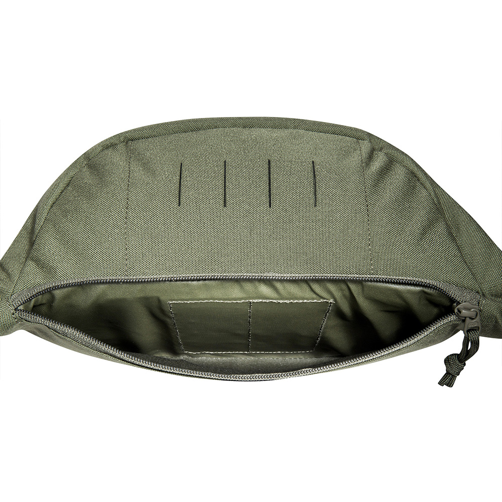 Tasmanian Tiger Hfttasche Modular Hip Bag 2 oliv Bild 1