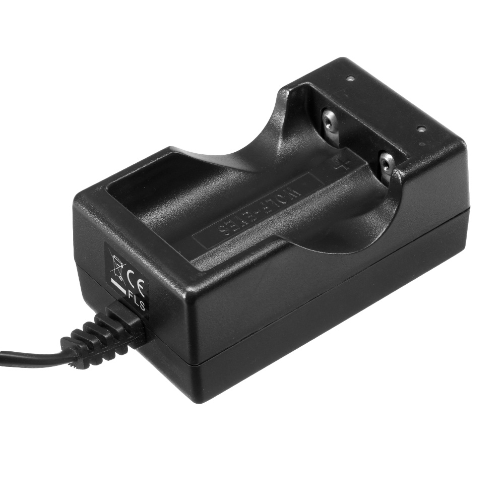 Wolf-Eyes CH-02 12V PKW Akku Schnellladegert Bild 1