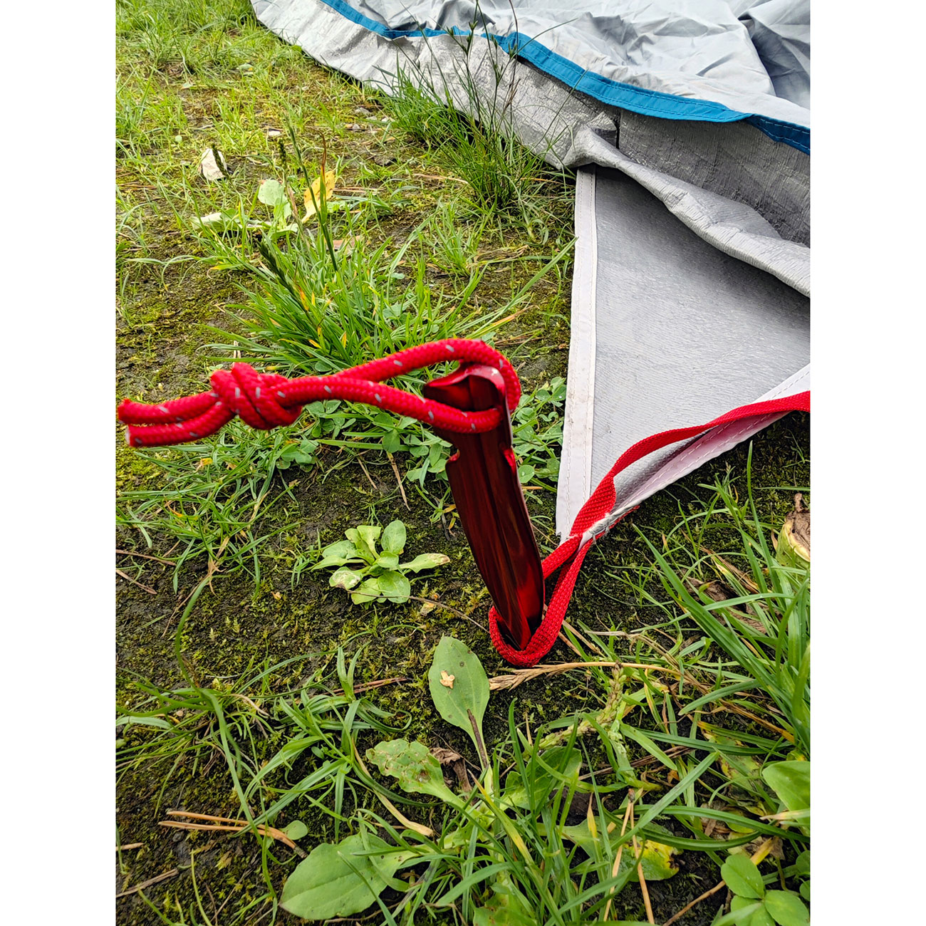 Basic Nature ZeltheringeY-Stake Spiralrot 6 St�ck Bild 5