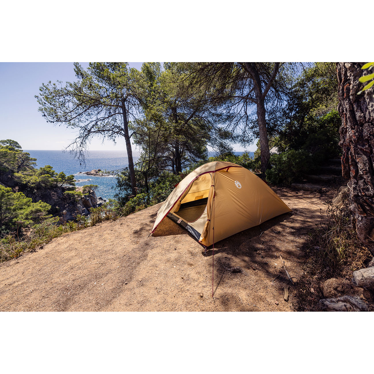 Coleman Zelt Darwin Summer 3 leichtes Kuppelzelt f�r 3 Personen beige Bild 5