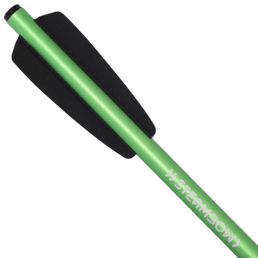 Steambow Bodkinpfeile Sport Edition 6,5 Zoll Aluminium blau/grn 10 Stck mit gehrteter Spitze Bild 1