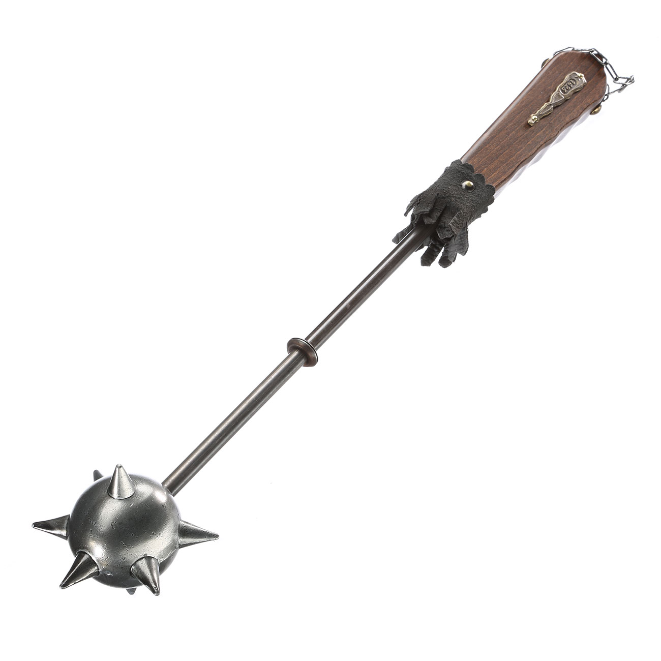 Morgenstern Auf Stiel Kotte Zeller