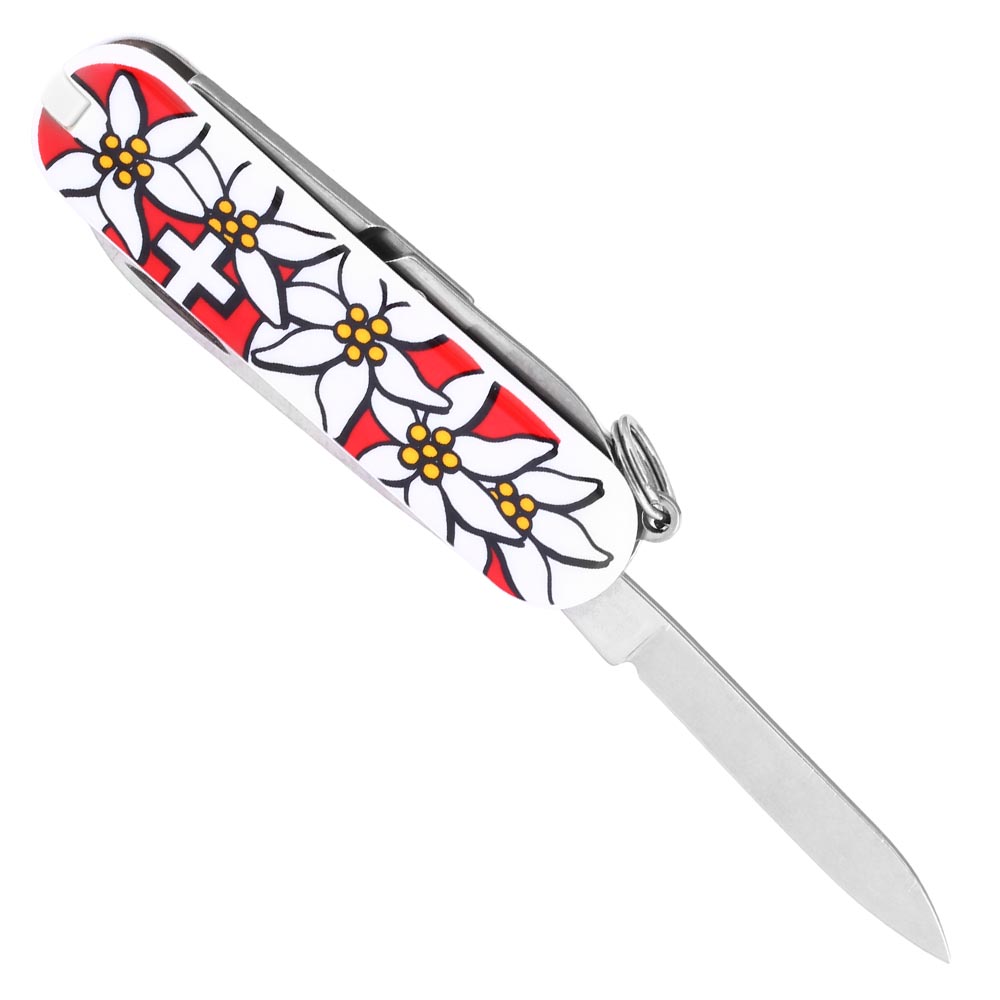 Victorinox Taschenmesser Classic SD Edelweiss kaufen