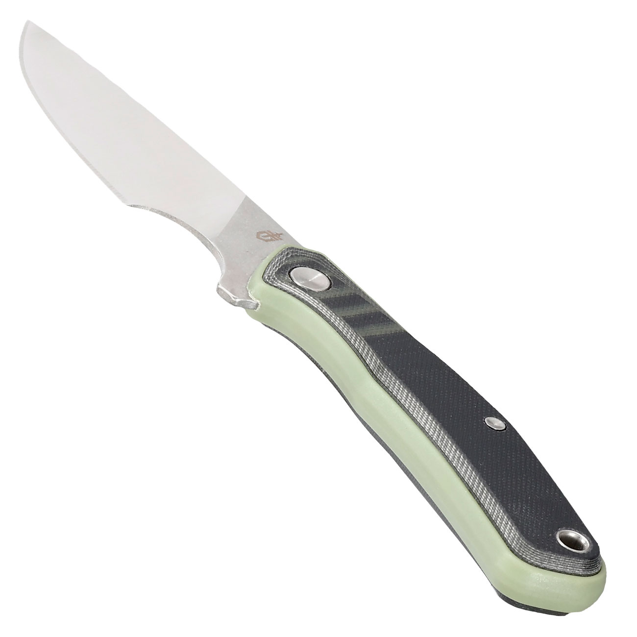 Gerber Outdoormesser Downwind Caper silber/grn inkl. Canvasscheide Bild 2