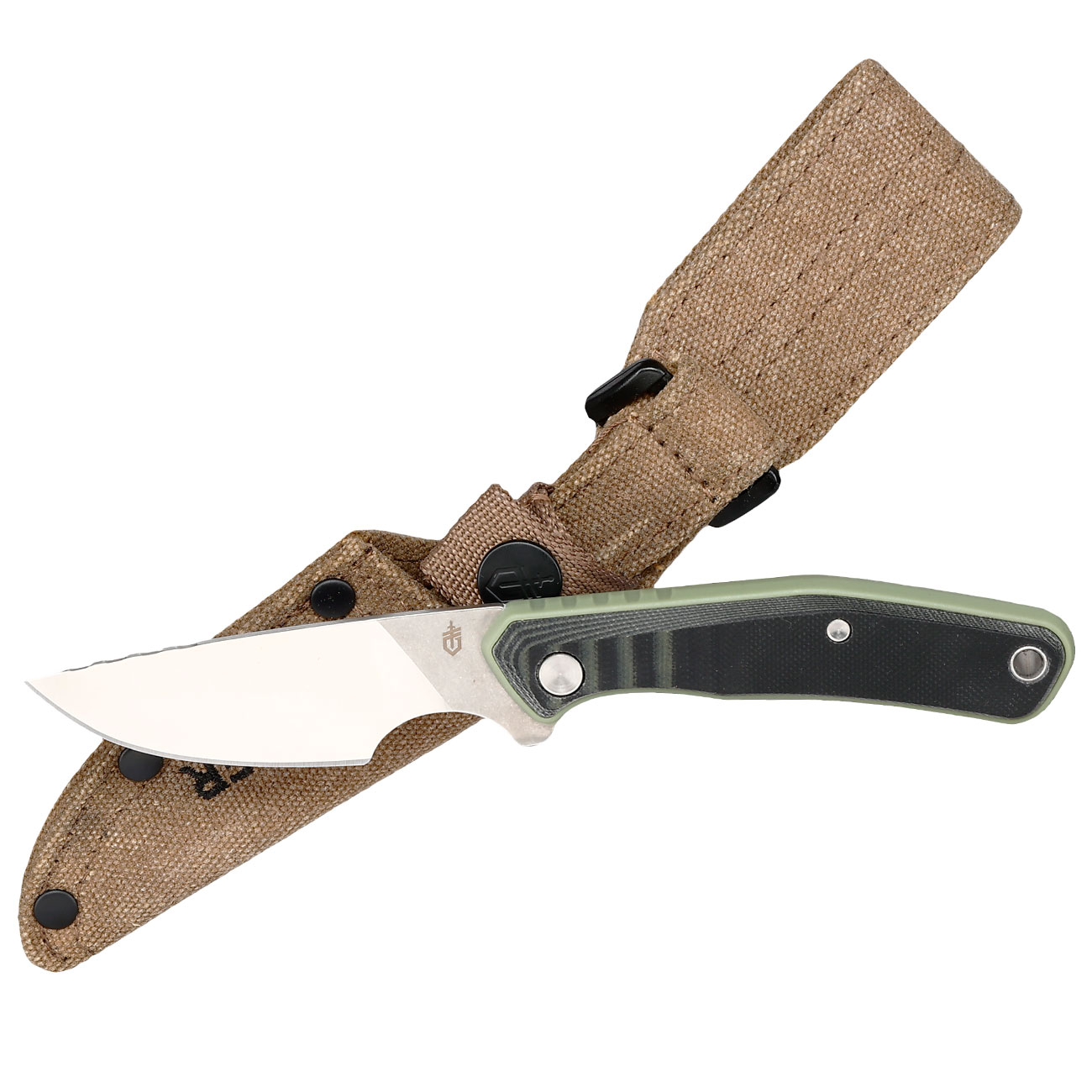 Gerber Outdoormesser Downwind Caper silber/grn inkl. Canvasscheide Bild 3