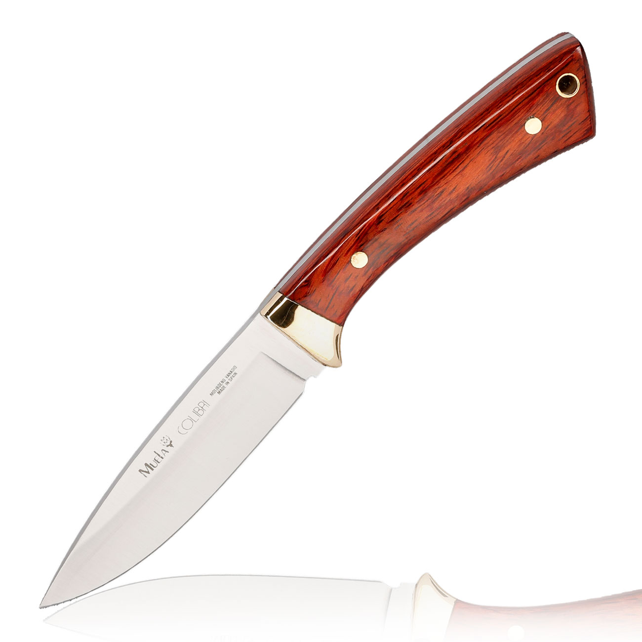 Muela Outdoormesser Colibri Pakkaholz inkl. Lederscheide