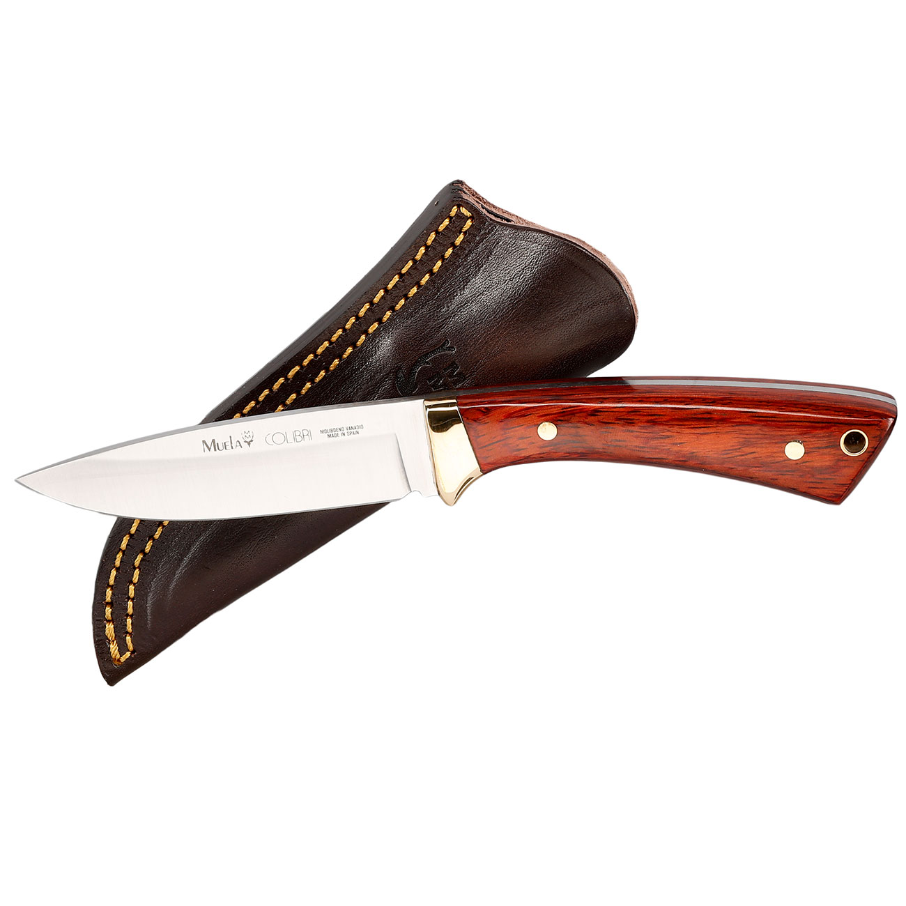 Muela Outdoormesser Colibri Pakkaholz inkl. Lederscheide Bild 3