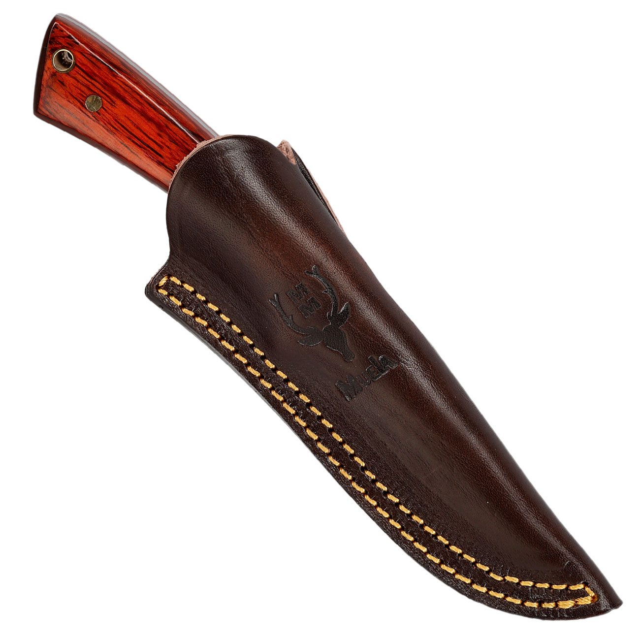 Muela Outdoormesser Colibri Pakkaholz inkl. Lederscheide Bild 4