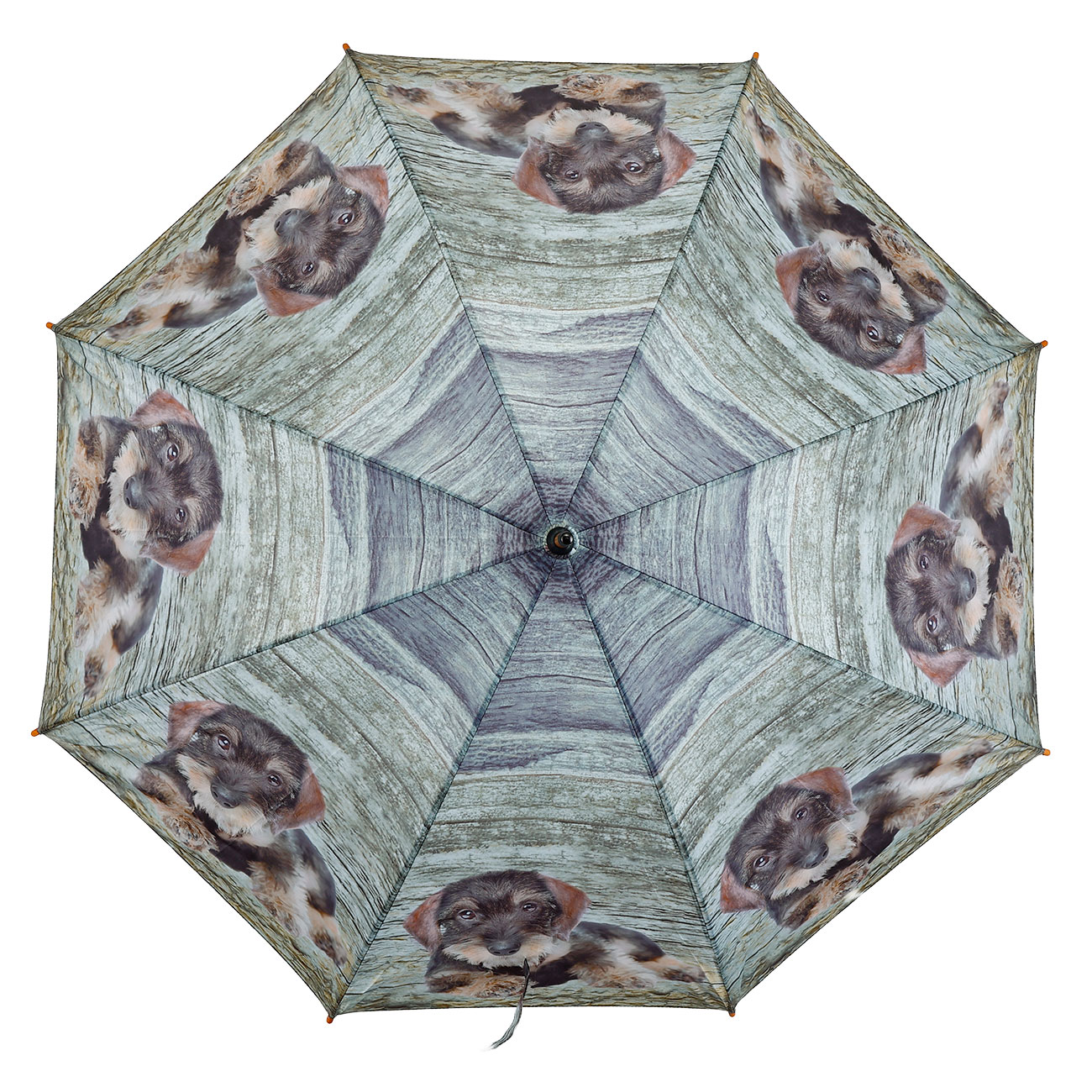 AKAH Regenschirm Rauhaardackel der Gute Laune Regenschirm Bild 2