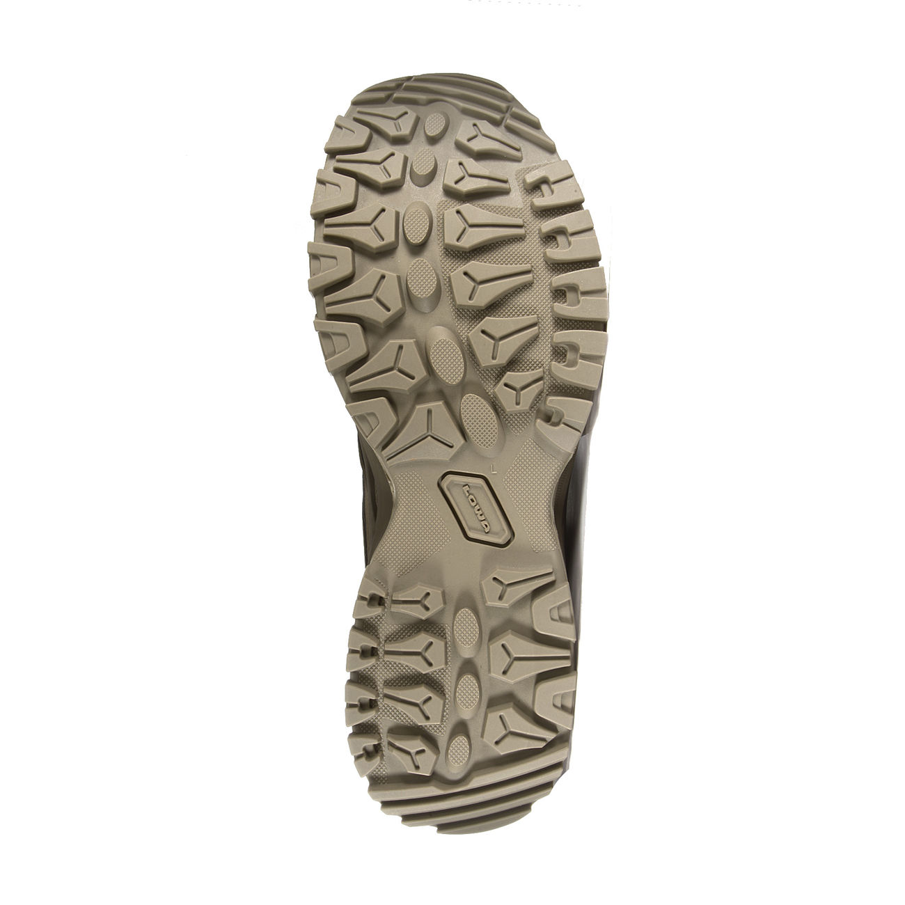 Lowa Boots Innox GTX MID TF Coyote günstig kaufen Kotte Lowa Innox GTX Lo TF, Wolfgrau, 47: : Schuhe