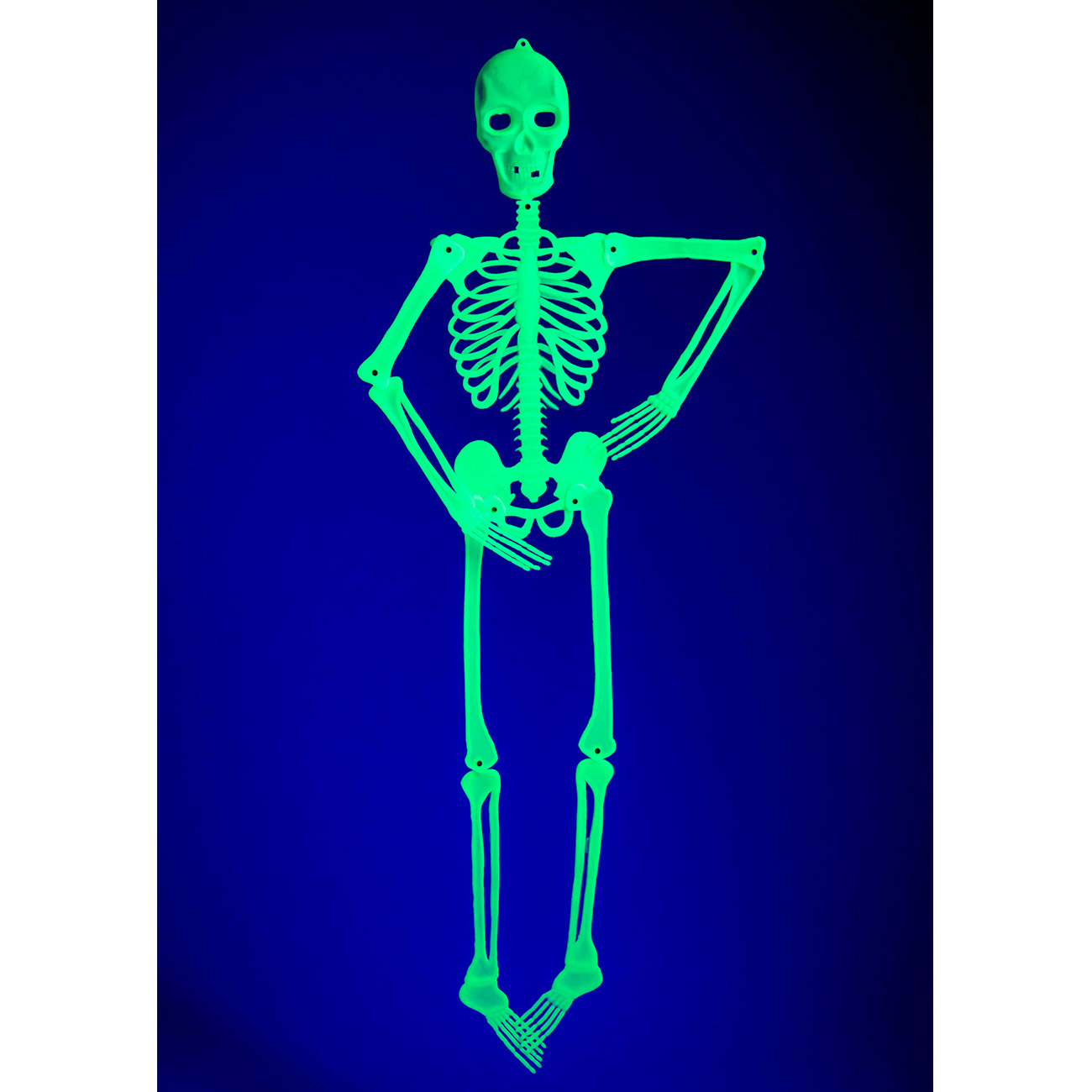 Halloween Deko Skelett im Käfig beweglich Leuchtaugen SMI 