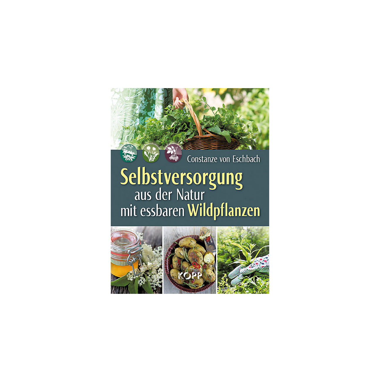 Selbstversorgung aus der Natur mit essbaren Wildpflanzen günstig kaufen ...