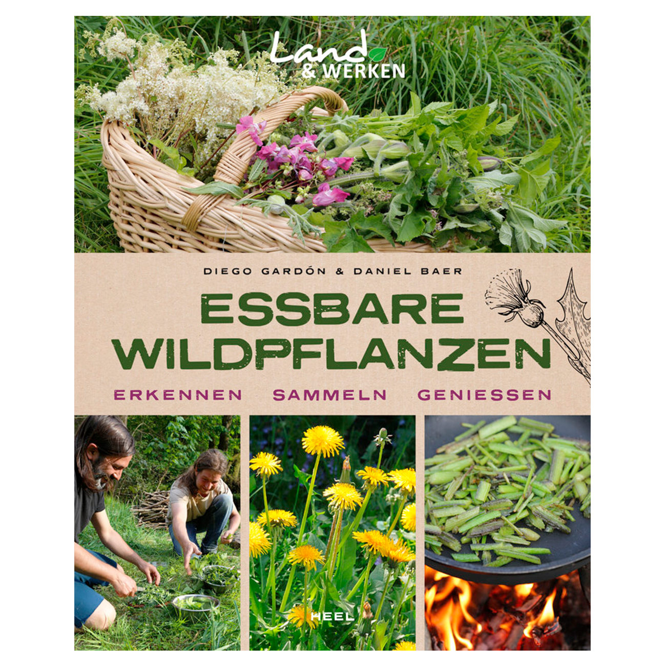 Essbare Wildpflanzen - Erkennen, Sammeln, Genieen