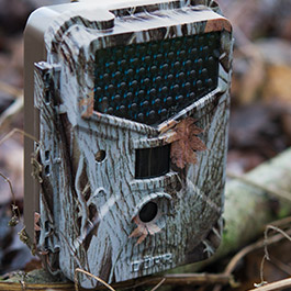 Dörr Wild- und Überwachungskamera SnapShot Extra Black 12.0i HD camouflage Bild 1 xxx: