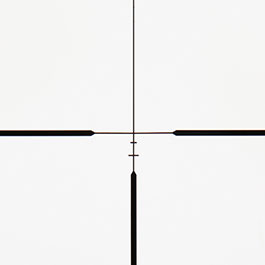 Kleinbild 10 Element Optics Iris 4-12x44 RAPTR-1 MOA SFP Scope / Zielfernrohr schwarz