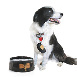 Scippis Wasserschssel Dri-tec 21cm auslaufsicher