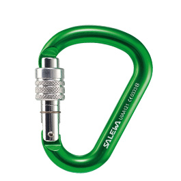 Salewa Karabiner HMS G2 medium Screw grn