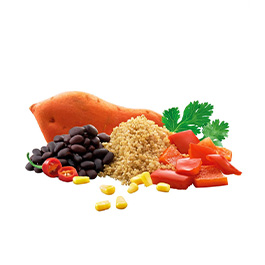 Adventure Food Quinoa a la Mexicana Einzelportion 150 g Bild 1 xxx:
