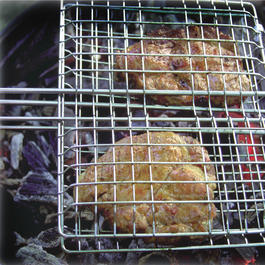 Coghlans Handgrill Broiler fr offenes Feuer