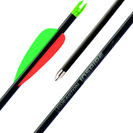 Bogenpfeil Easton Inspire 30 Carbon mit STD Target Spitze und G-Nock 1 Stck