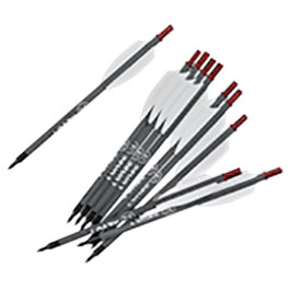 Kleinbild 1 EK Archery Carbon Armbrustpfeile 6,5 Zoll f�r REVO 7 Repetierarmbrust dunkelgrau 10 St�ck