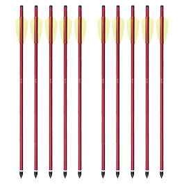 Armbrustpfeil Arrow 16 mit Stahlspitze 10er Vorteilspack