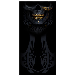 Spiral Multifunktionstuch Black Gold Skull schwarz/bedruckt Bild 2