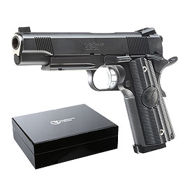 Produktbild zu RWA Nighthawk Custom GRP Stahl CO2 BlowBack 6mm BB schwarz - ...