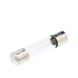 ICS 30 Ampere Glassicherungen (1 Stck)
