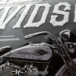 Blechschild Harley-Davidson Motorcycles Eagle 30 x 40 cm Bild 1 xxx: