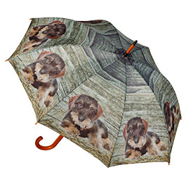 AKAH Regenschirm Rauhaardackel der Gute Laune Regenschirm