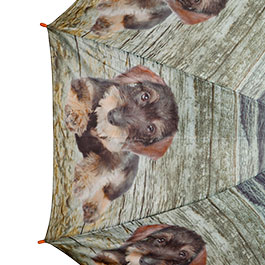 Kleinbild 4 AKAH Regenschirm Rauhaardackel der Gute Laune Regenschirm