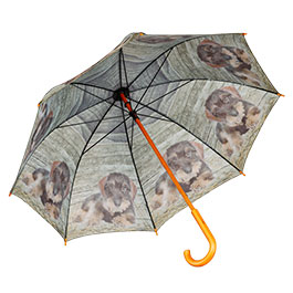 Kleinbild 5 AKAH Regenschirm Rauhaardackel der Gute Laune Regenschirm