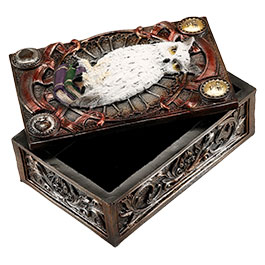 Kleinbild 4 Braune Tarotbox Zaubereule sitzt auf B�cherstapel